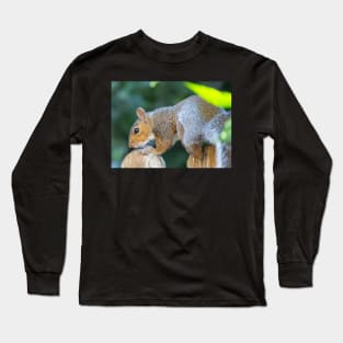 Squirrel on the fence Long Sleeve T-Shirt